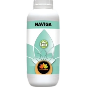 NAVIGA (DETERMINO) 1KG